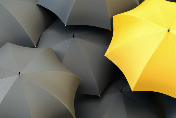 Why TC's are Important Blog Image